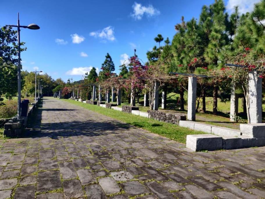 New City Park Apartment In Ponta Delgada Dış mekan fotoğraf